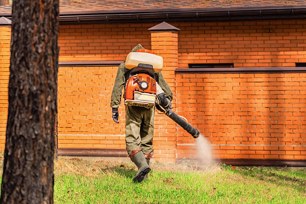 Trusted Mosquito Control service in Moenkopi, AZ - Nex Pest Control